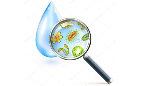 隔離病毒別忘了飲水防護，居家抗疫飲水指南收藏！